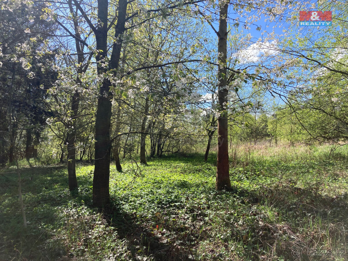 Prodej chaty, 16 m², Zbraslavice - Kateřinky, pozemek 459 m²