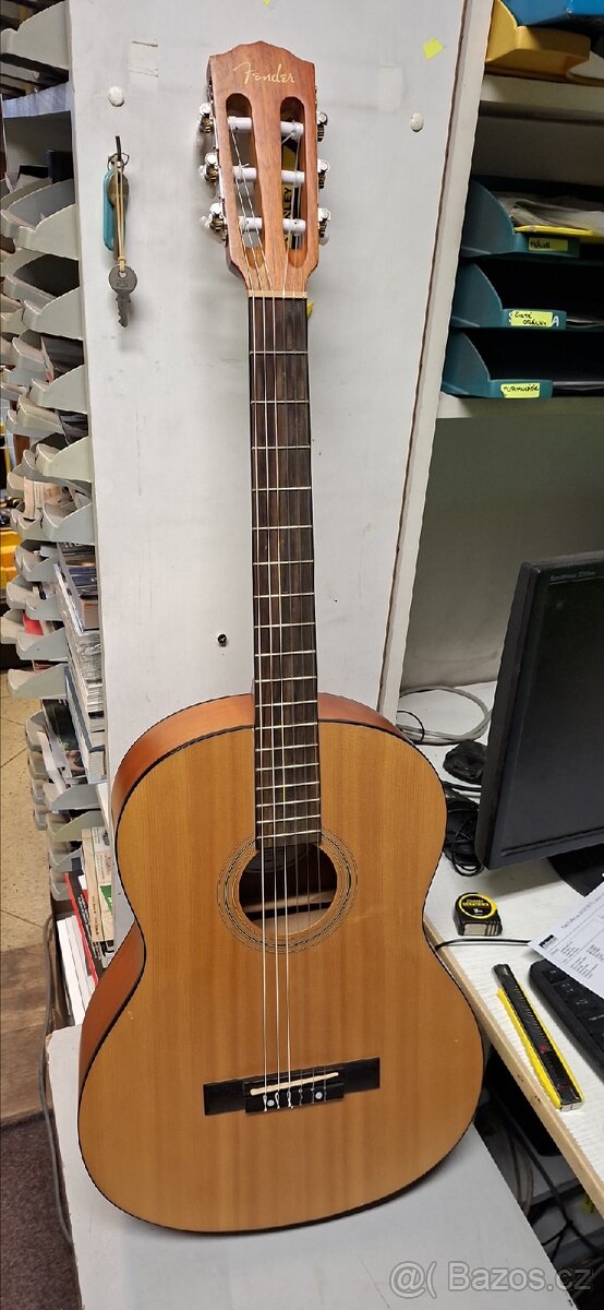 Kytara Fender acoustics ESC105 4/4
