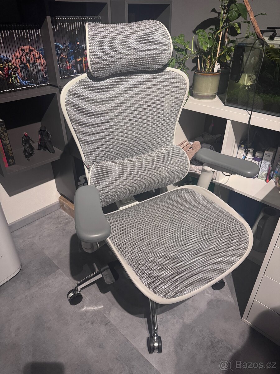 Kancelářská židle Sihoo Doro C300