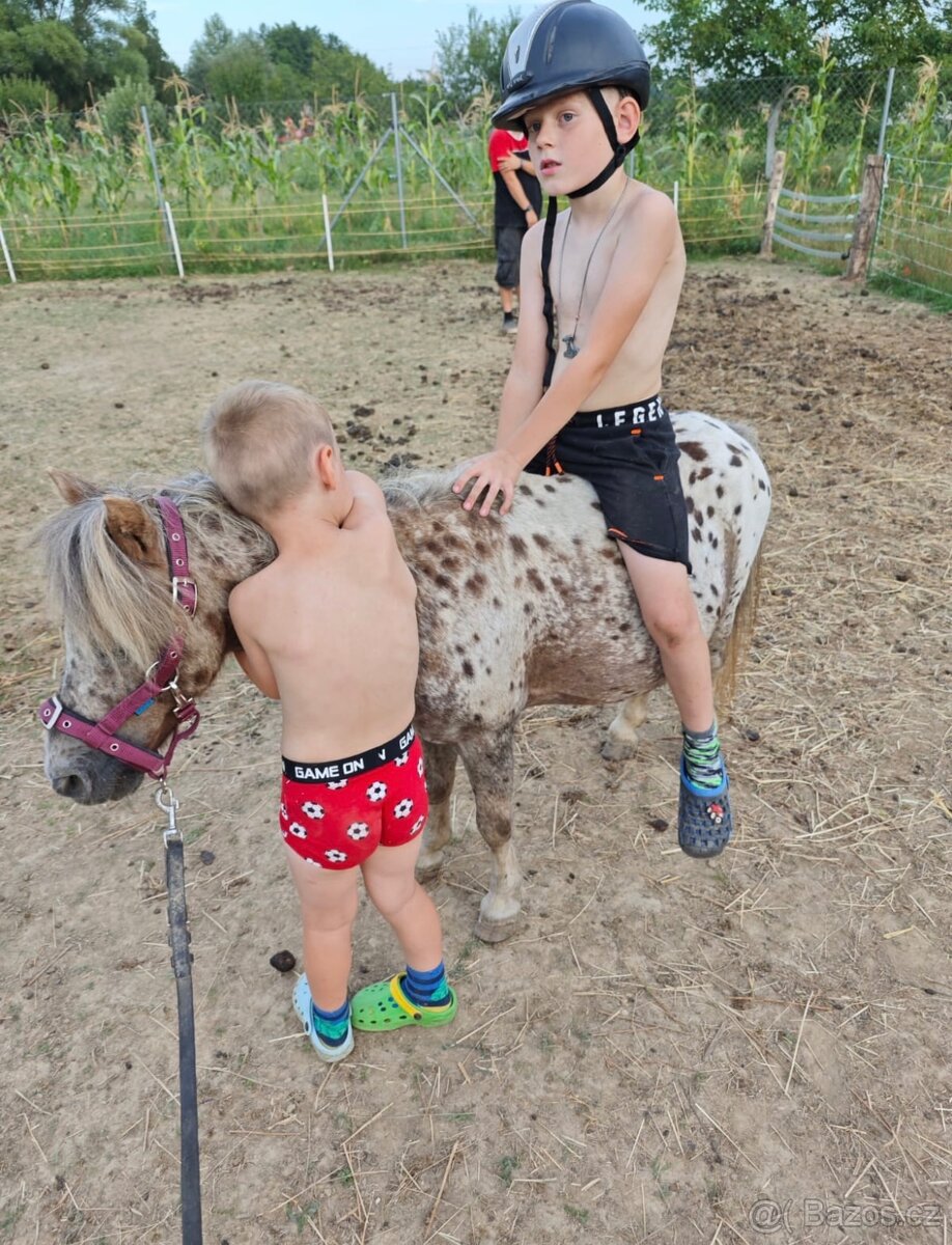 PREDÁM / VYMENIM MiNi poniky