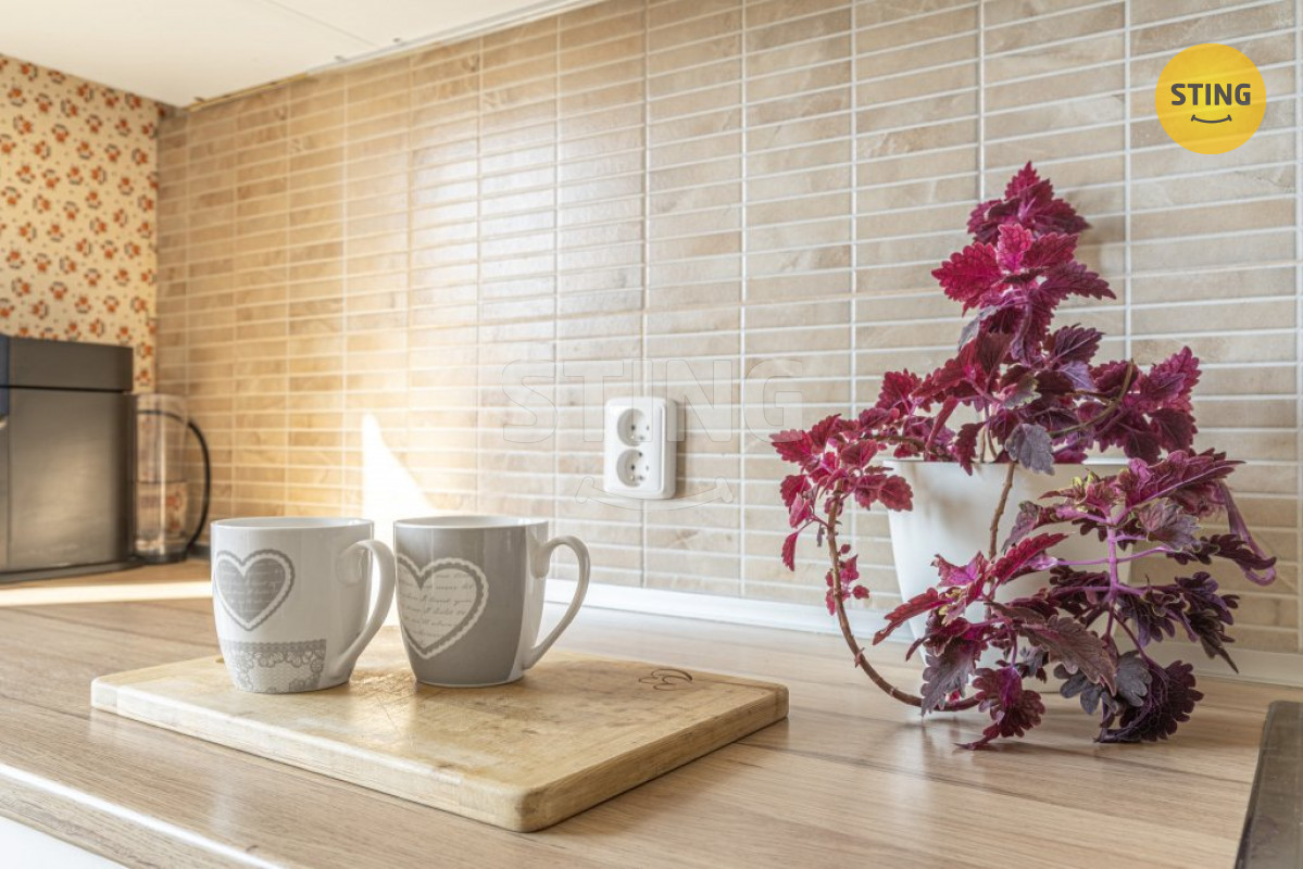 Prodej bytu 3+1, 75 m2, Velké Popovice - klidná loka, 133499