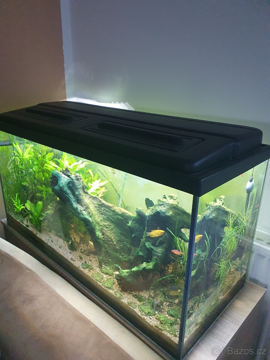 Kompletní akvarium 200 l