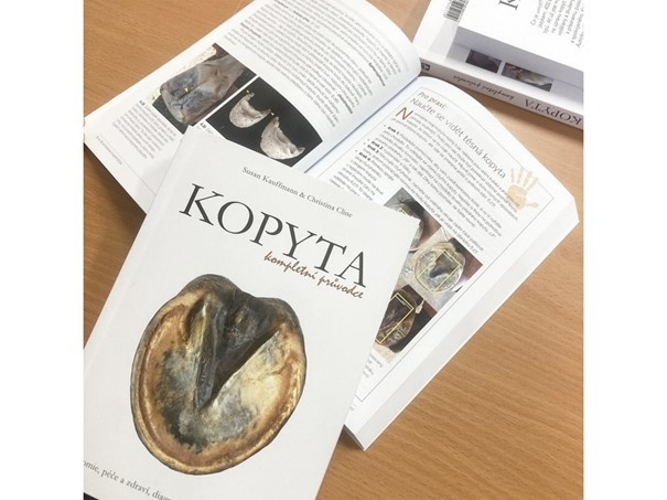 Kopyta