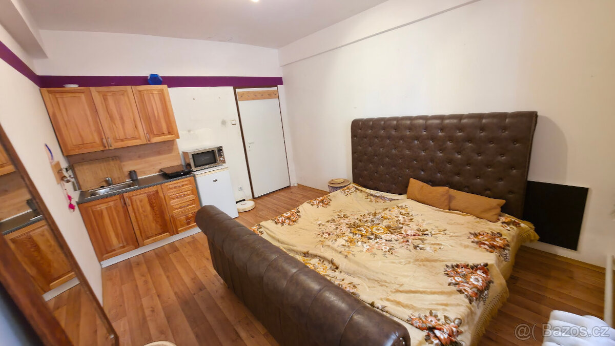 Pronájem pokoje 16 m² Praha 7 u metra Vltavská