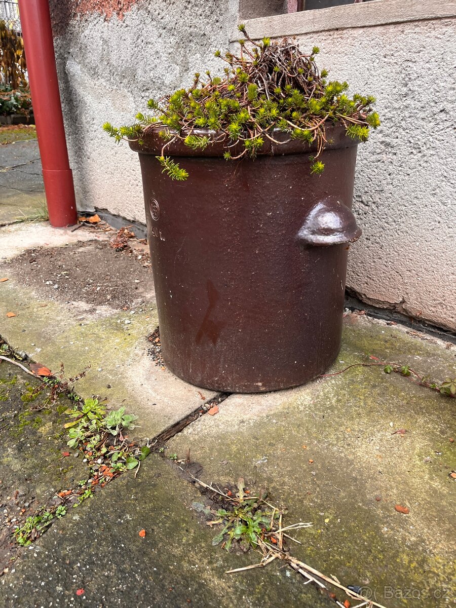 Květináče (i s obsahem pokud chcete) - cena za vsechny