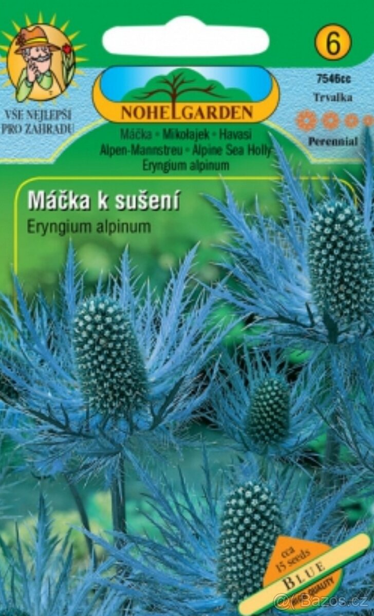 Máčka alpská, modrá (semena)