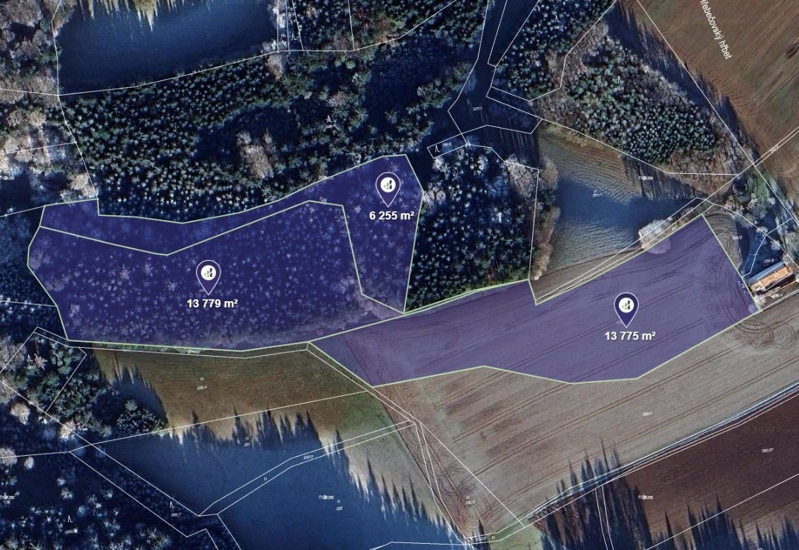 Prodej pole v k.ú. Česká Rybná u Žamberka