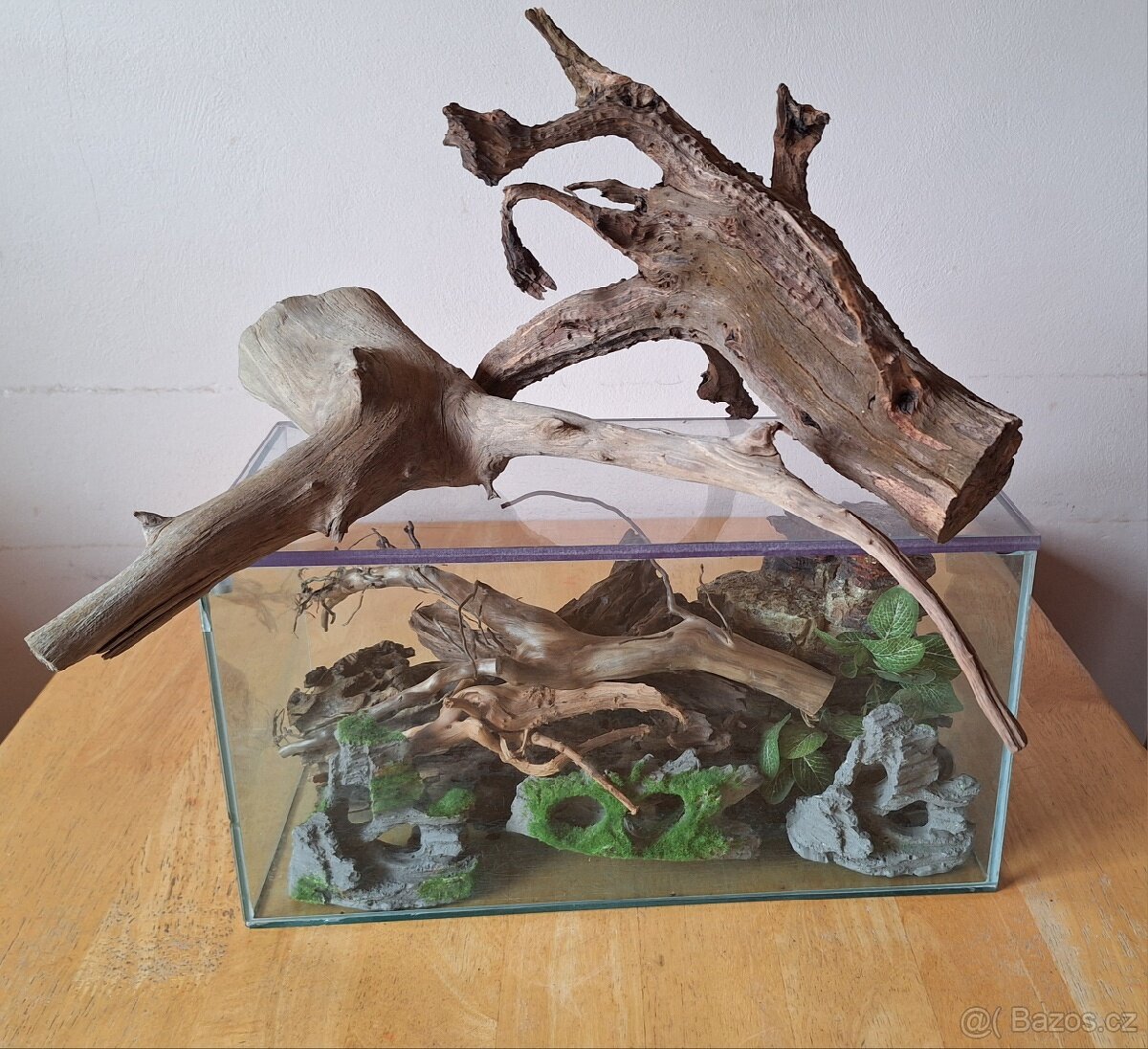 Akvárium, kořeny, dekorace