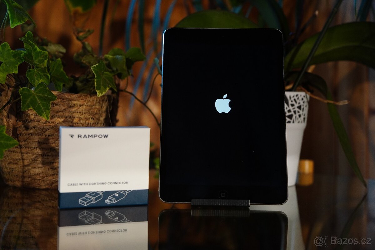 iPad Mini2