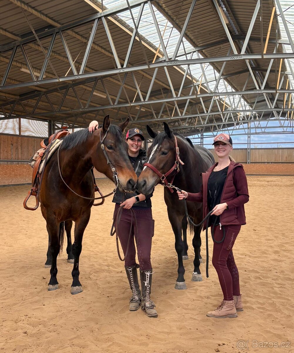 Nabídka docházky ke koním