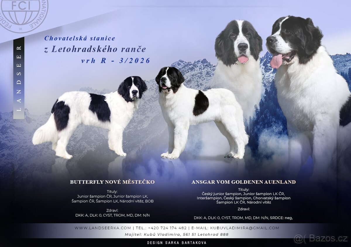 Landseer