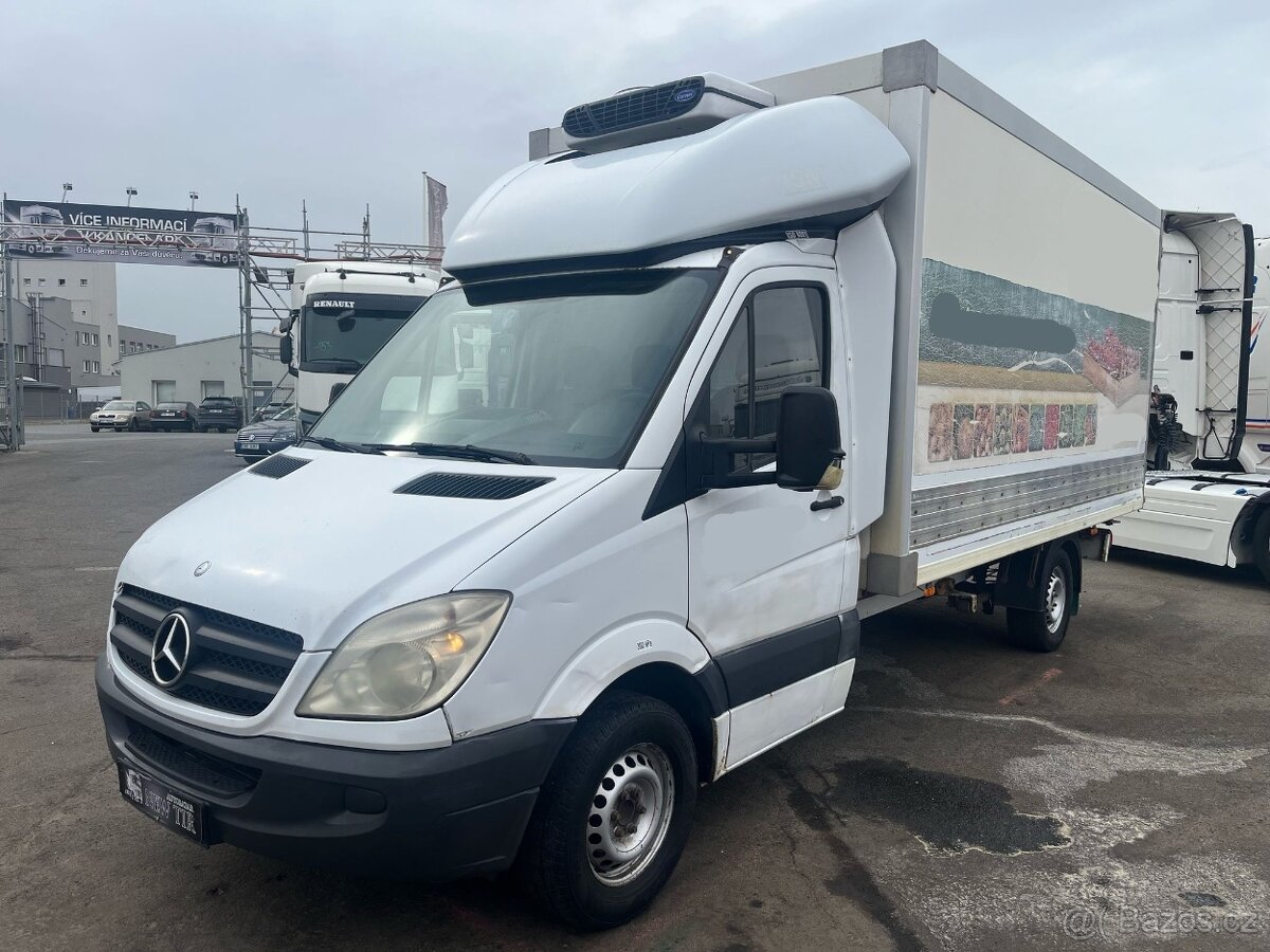 Mercedes-Benz Sprinter 315 CDI Carrier