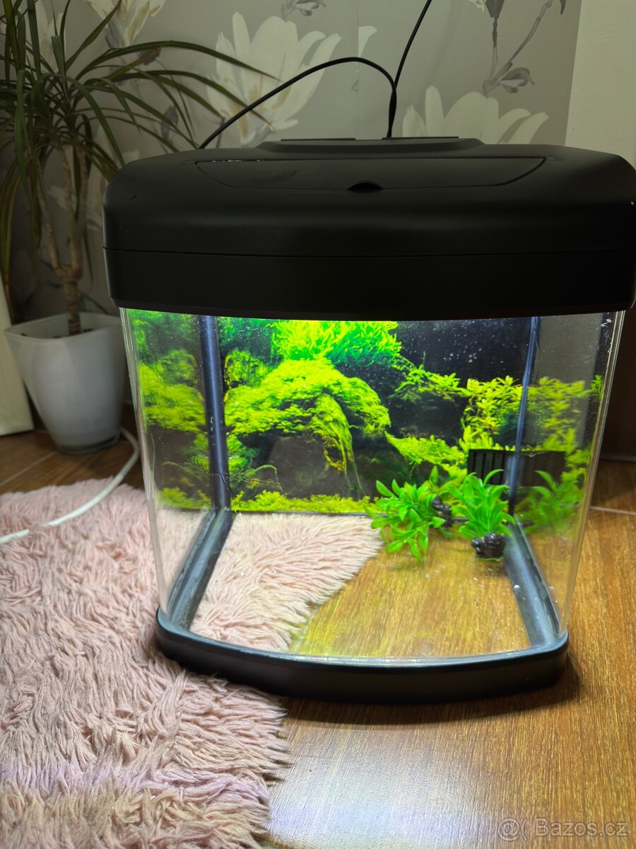 Akvárium 50l s led světlem