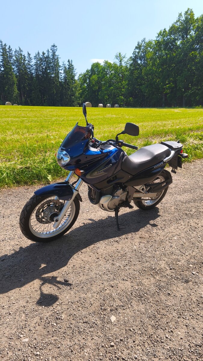 Suzuki XF 650 Freewind