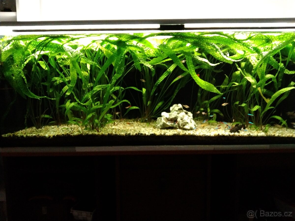Akvárium 375L