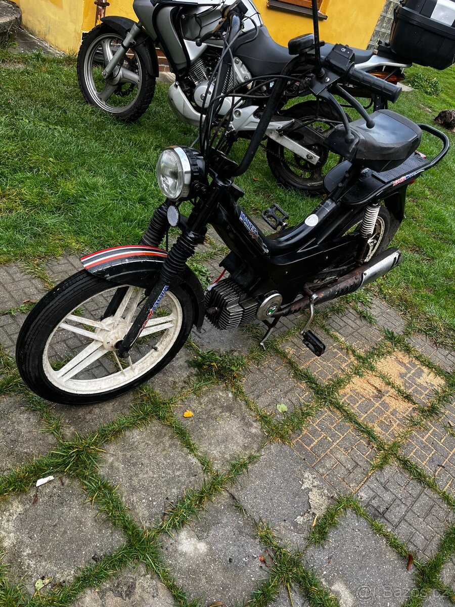 Prodám Manet Korado