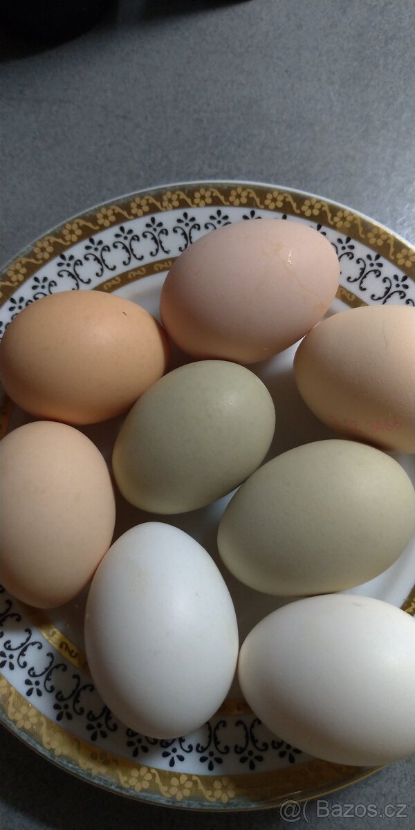 Prodej domácích čerstvých vajec