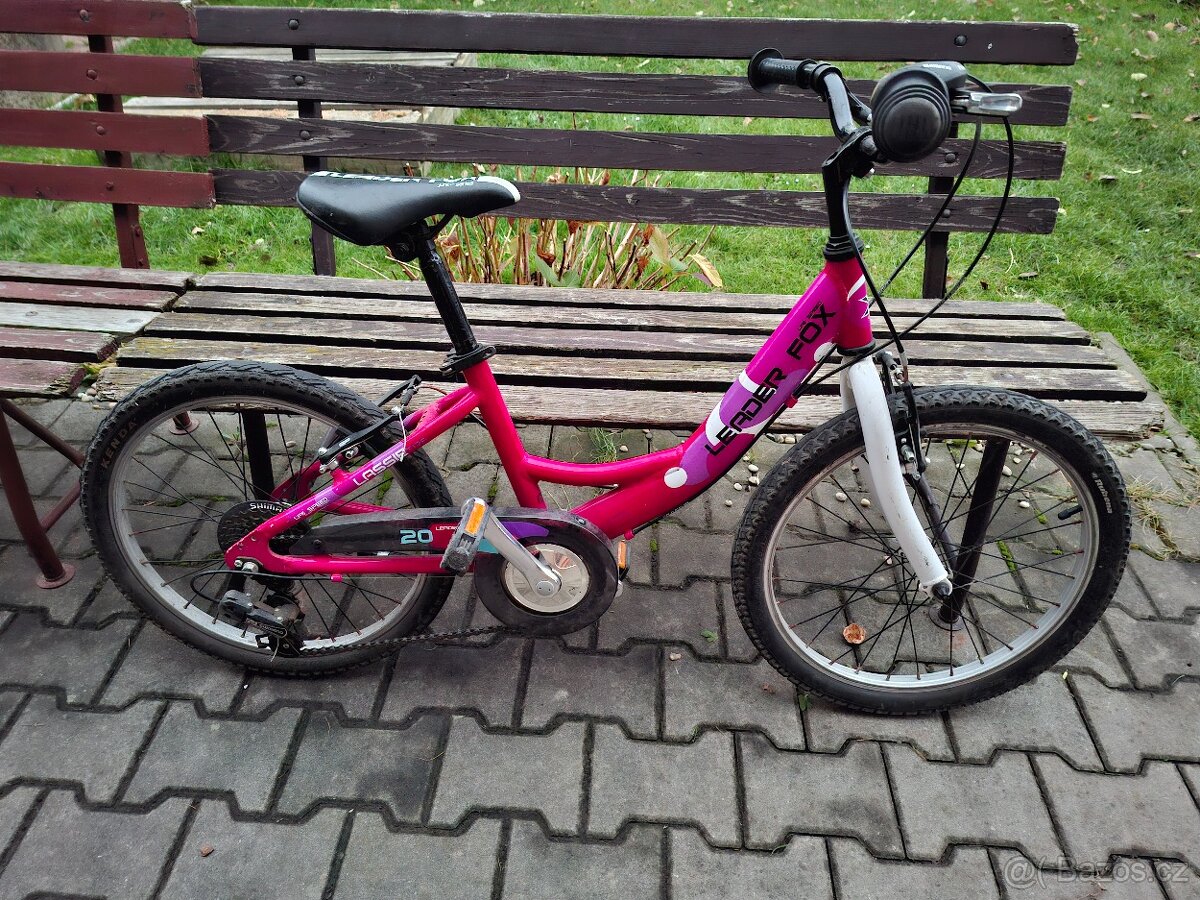 Kolo 20" Leader Fox Lassie