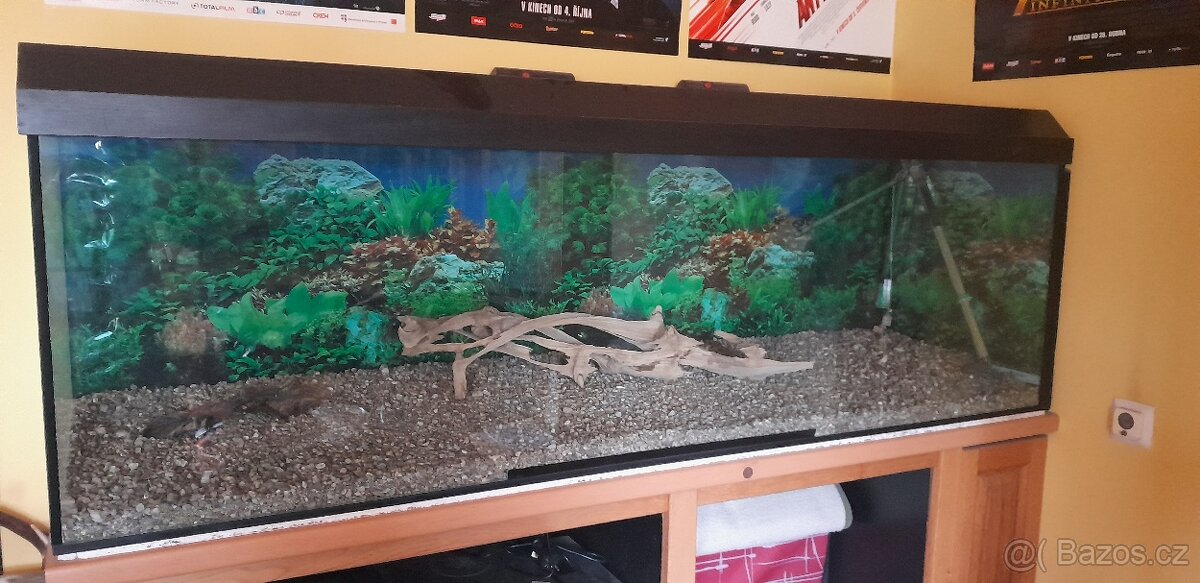 AKVÁRIUM 500 LITRŮ