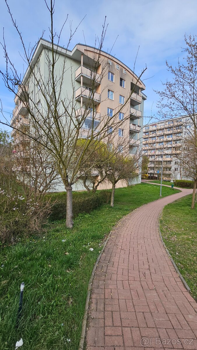 Baráčnická, 1+kk/L, 35m2, po rekonstrukci, vybavený, od 1.7.