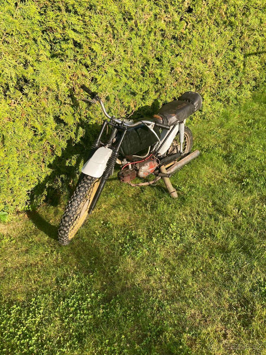 Jawa mustang
