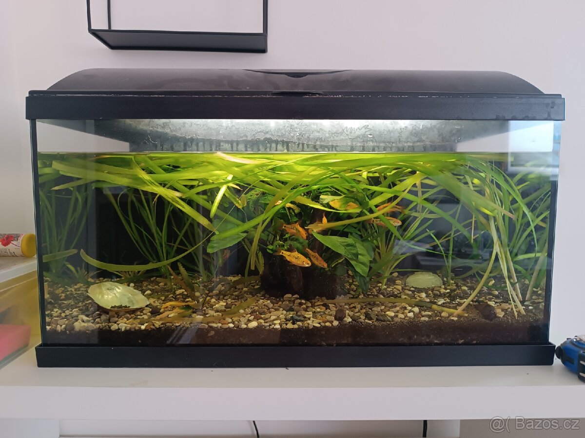 Kompletní akvárium 30x30x60 s vybavením