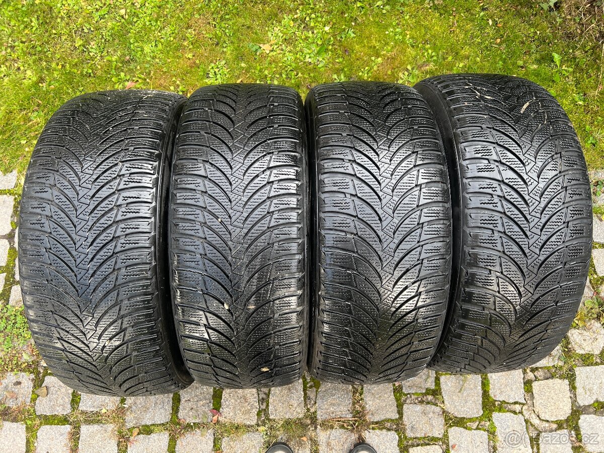 225 50 17 R17 zimní pneumatiky Nexen