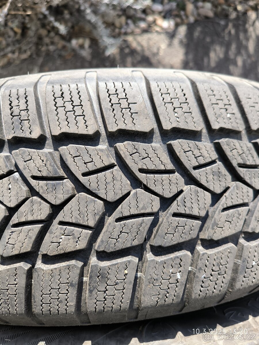 Zimní 195/65 R15