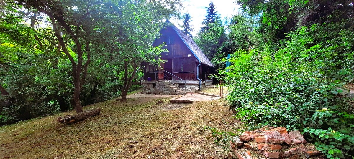 Prodej chaty, 58 m2, k.ú. Bílovice nad Svitavou