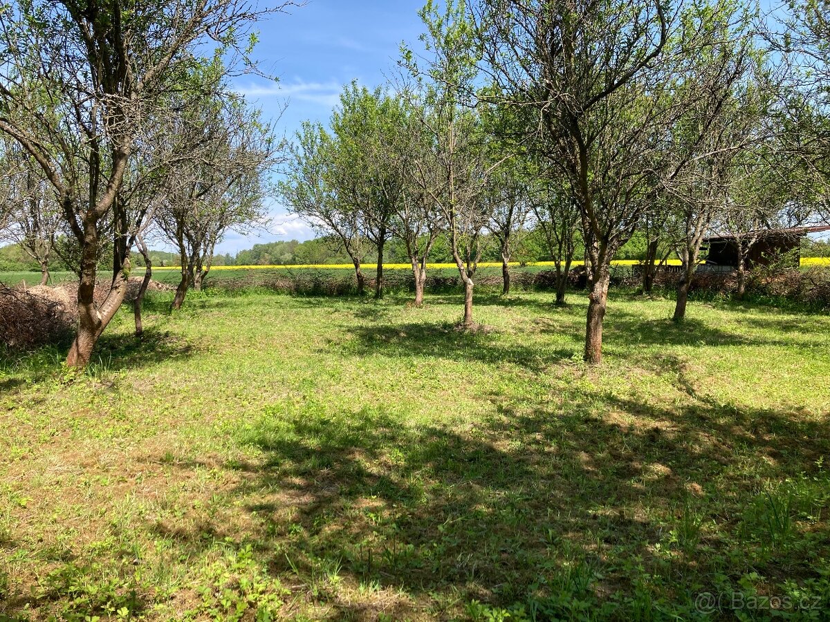 Land for rent · 500 m² · Olomouc — 83 €/mo