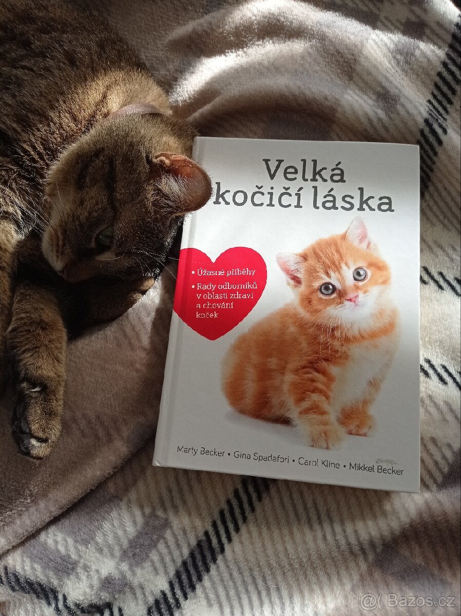 Kniha - Velká kočičí láska