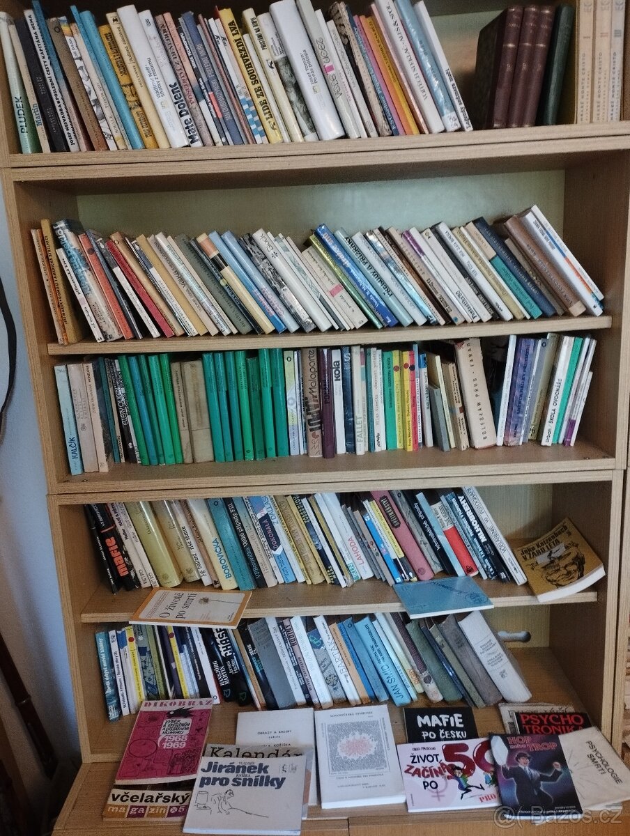 knihovna cca 300 knih vetsinou beletrie, odborna, ruzne..