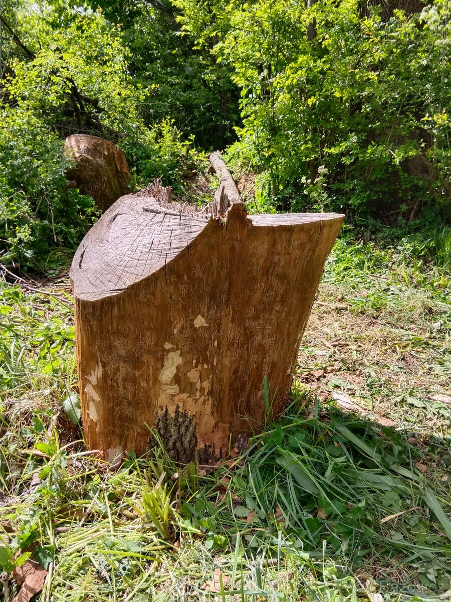 jasanový špalek