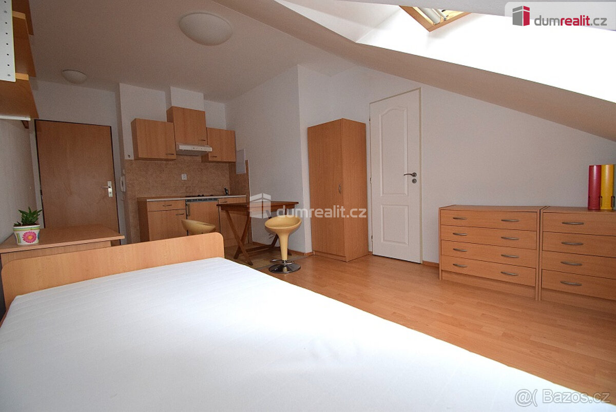 Pronájem 1+kk, 25m², P5-Smíchov, ul. Nad Palatou