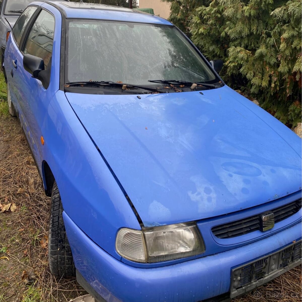 SEAT