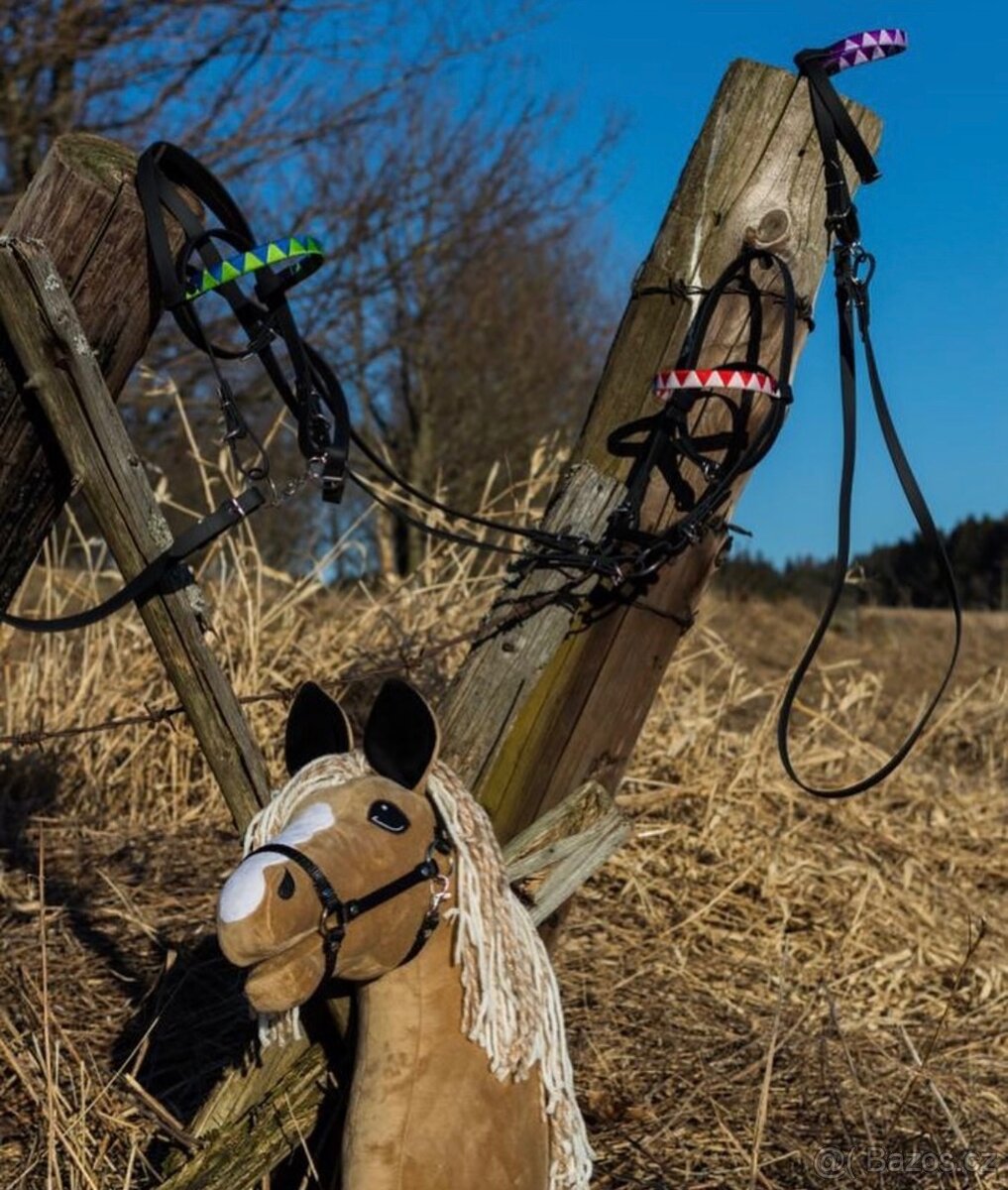HLEDÁM hobby horse