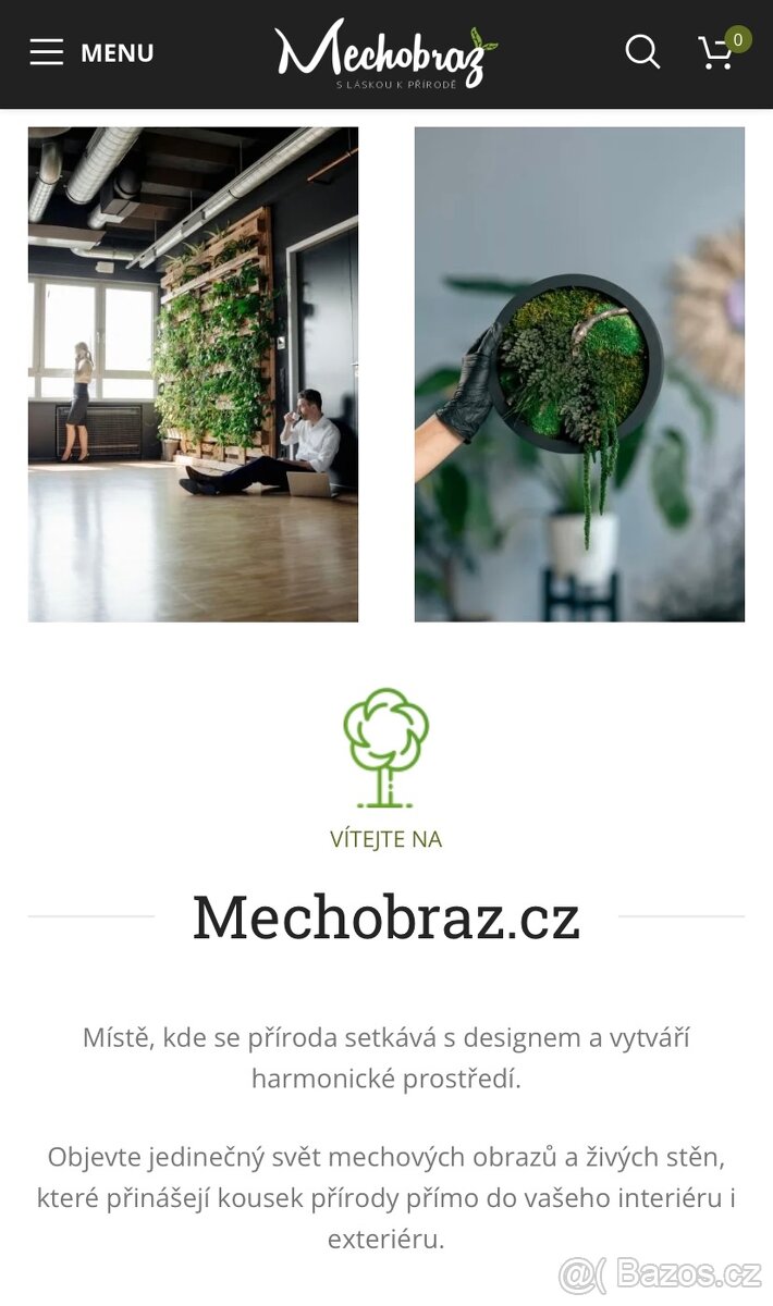 Mechobraz