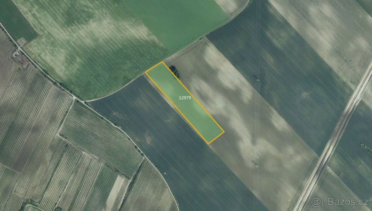 Zemědělská půda, prodej, Mutěnice, Hodonín