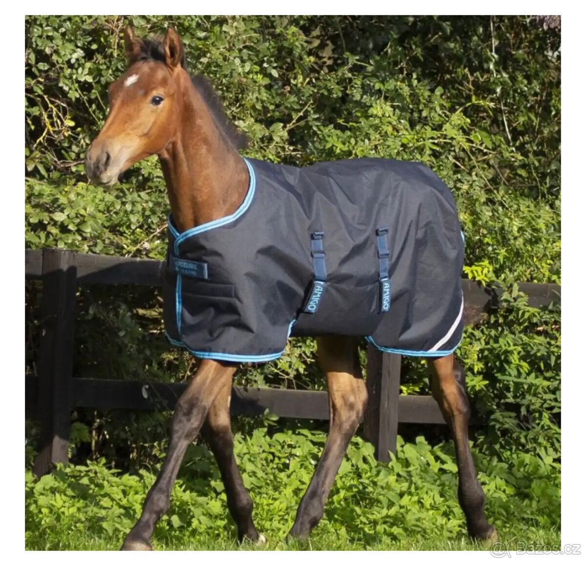 Hribeci deka Horseware