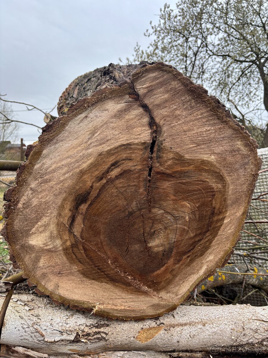 Kuláče z kmenu ořechu