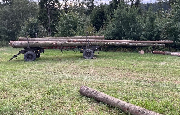 Vlek Oplen Klaďák Klaničák dobrý stav