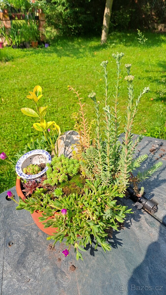 Osázený okrasný květináč