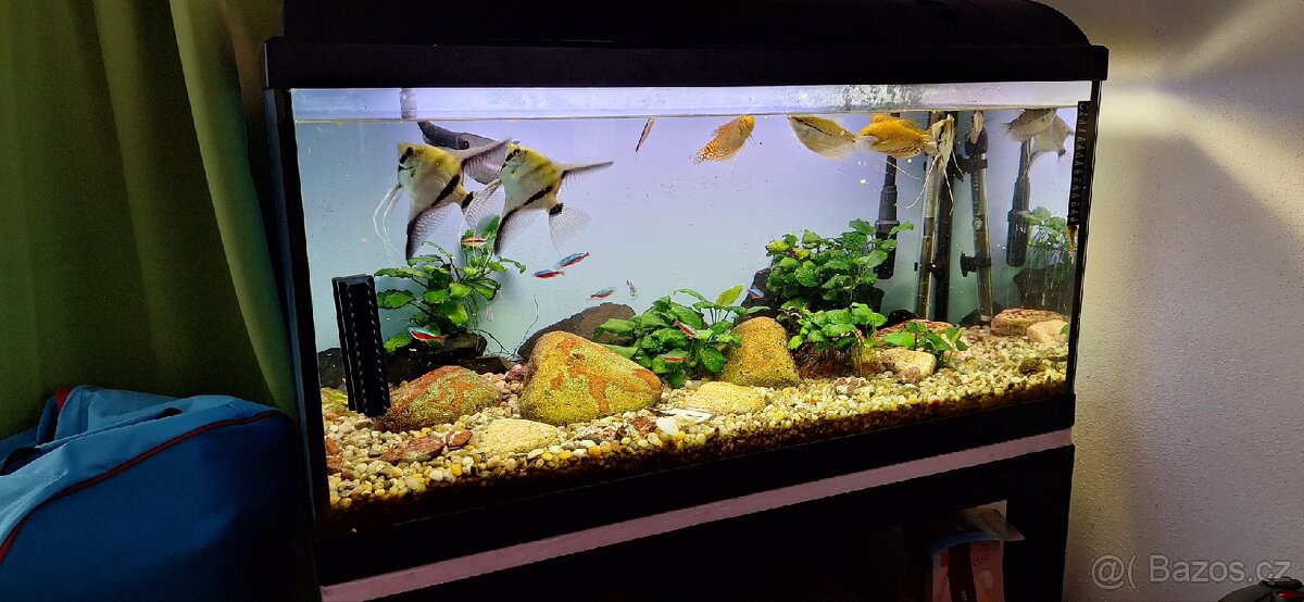 Prodám aquarium