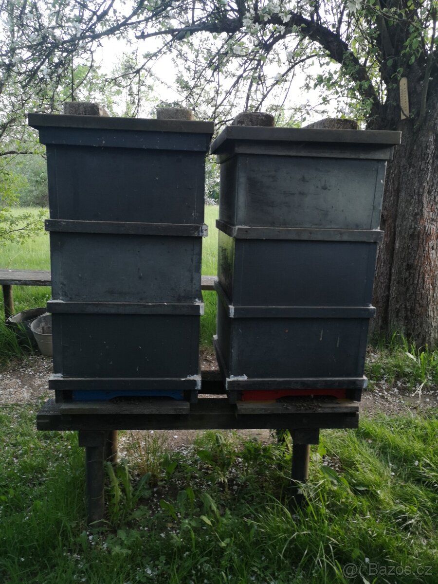 Prodám dvoje včelstva, kompletní i s úly, možné i jednotlivě