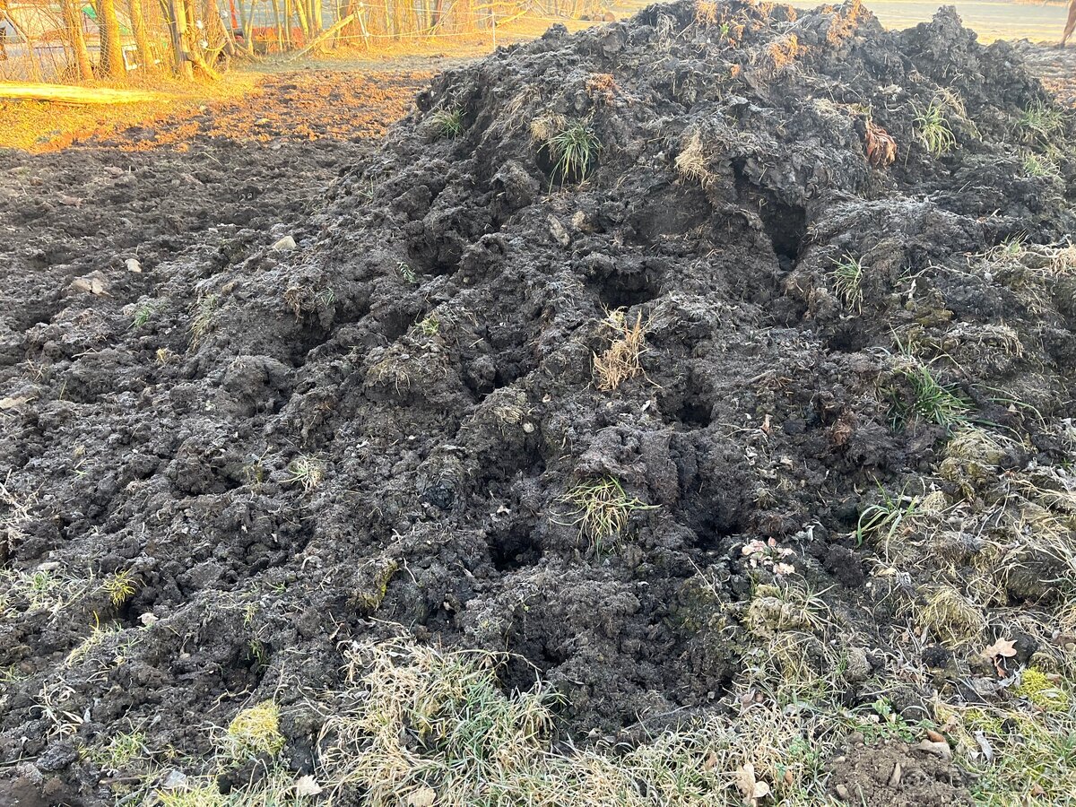 kravský hnůj