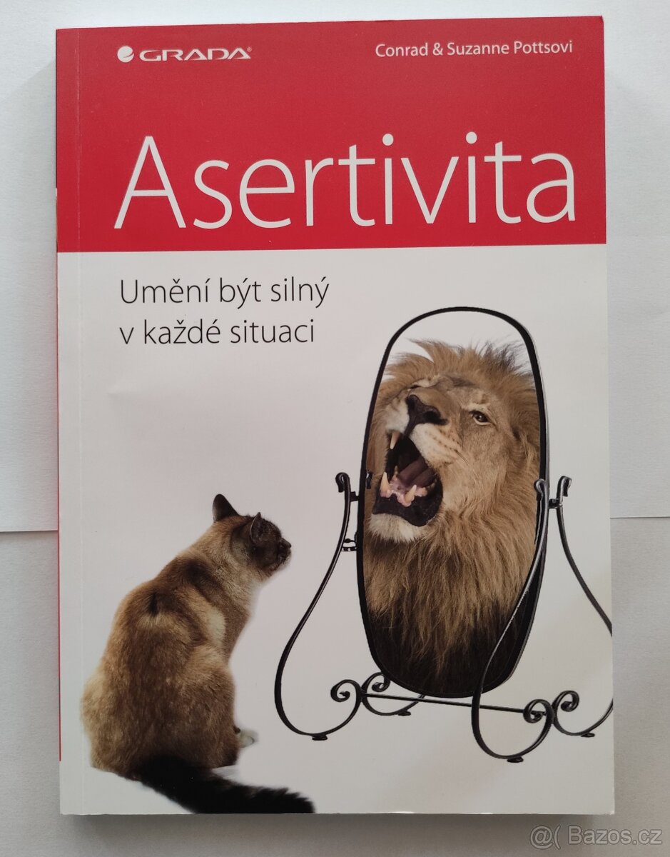 Asertivita, Umění být silný v každé situaci