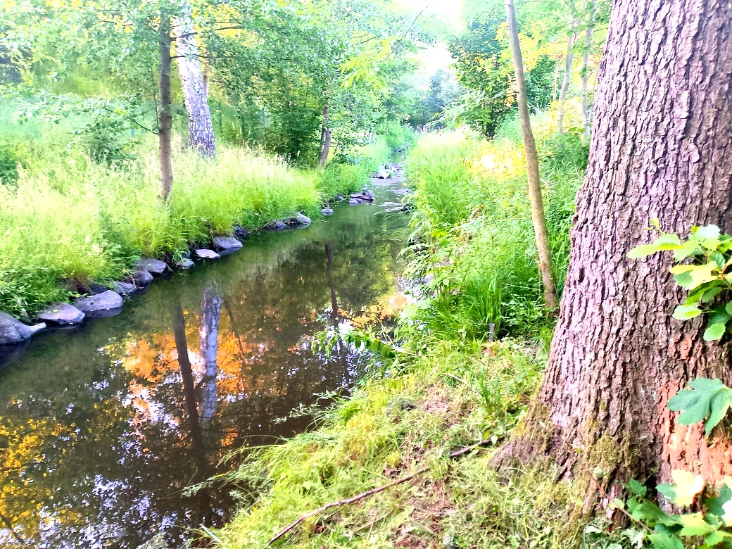 Pozemek stavební ok Děčín