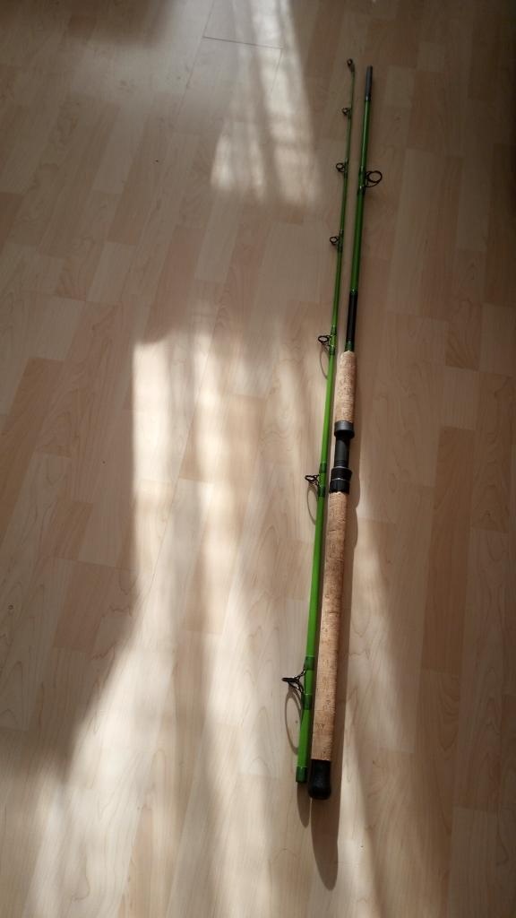MADCAT prut Heavy Duty 3,0m 200-300g