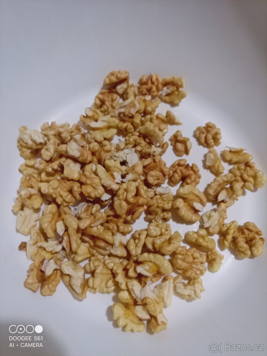 Vlašské ořechy letošní loupané