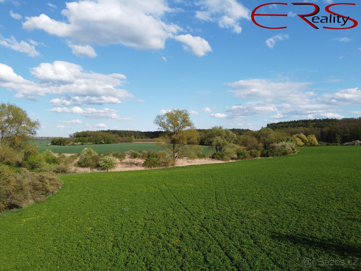 Investiční pozemky - Městec Králové , 28 150 m², ev.č. 00552